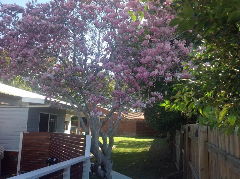 Magnolia Cottage Coffs Harbour Zewnętrze zdjęcie