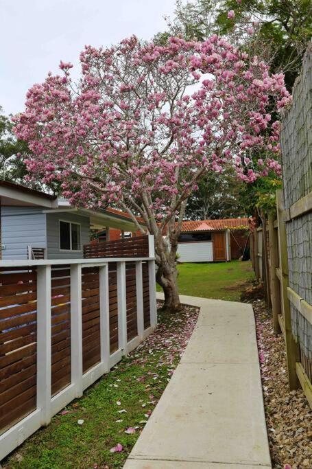Magnolia Cottage Coffs Harbour Zewnętrze zdjęcie